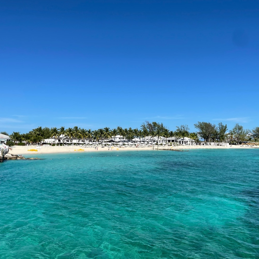 Meet your Posher, Jewels🌴💎